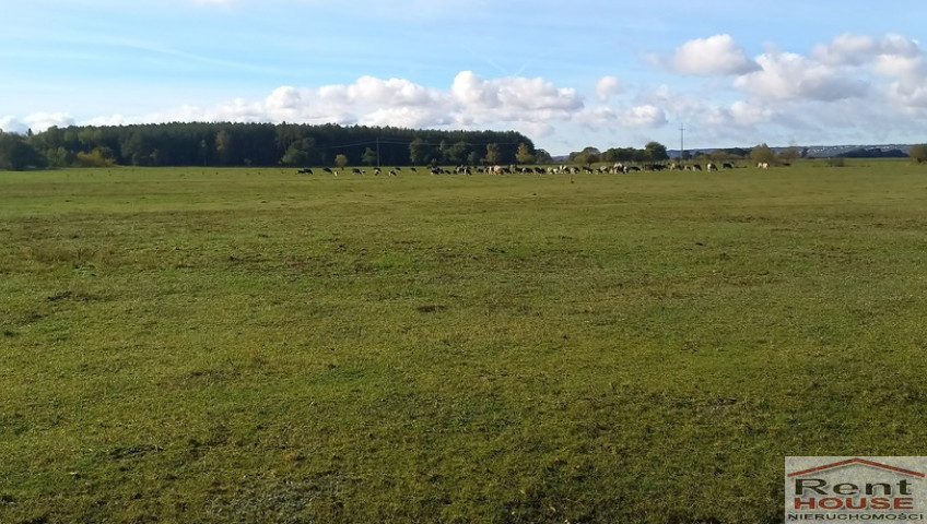 Działka Sprzedaż Borzysławiec
