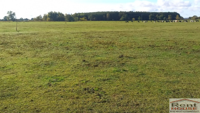 Działka Sprzedaż Borzysławiec