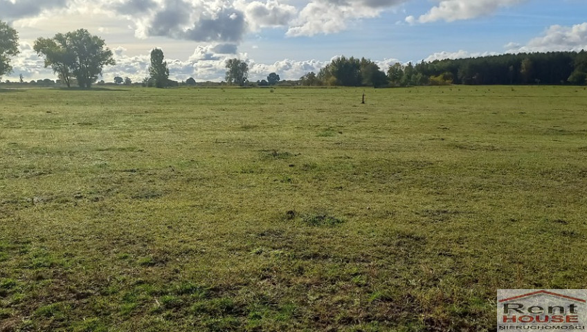 Działka Sprzedaż Borzysławiec