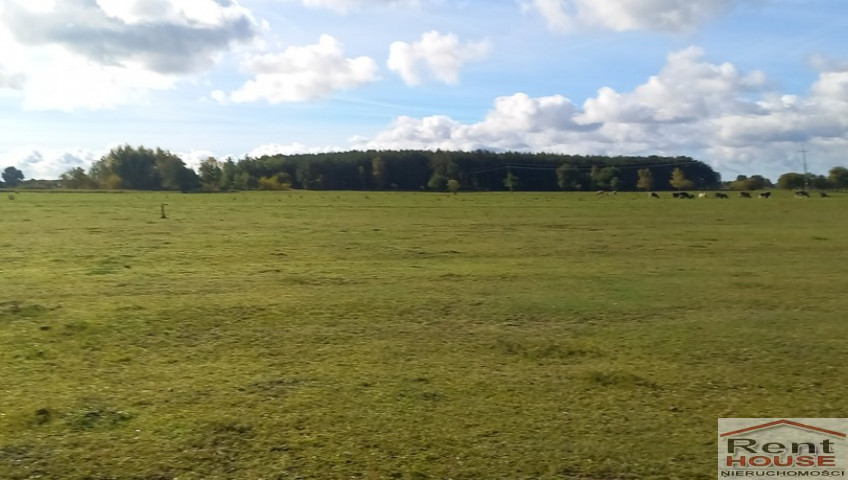 Działka Sprzedaż Borzysławiec