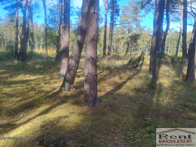 Działka Sprzedaż Dziwnów