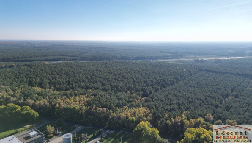 Działka Sprzedaż Łozienica