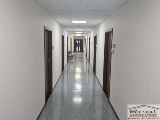 Lokal Wynajem Szczecin Centrum