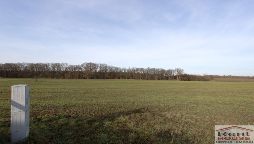Działka Sprzedaż Storkowo