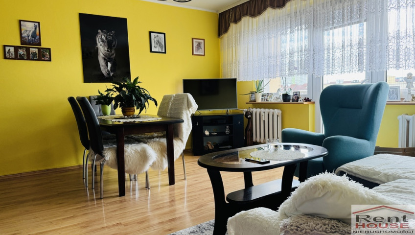 Mieszkanie Sprzedaż Szczecin os. Majowe Witolda Gombrowicza