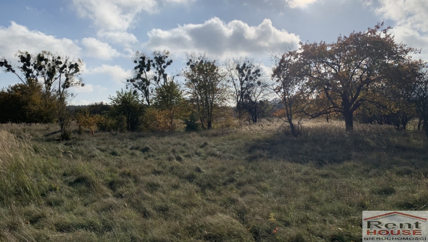 Działka Sprzedaż Żdżary