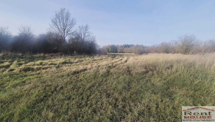 Działka Sprzedaż Tatynia