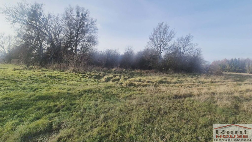 Działka Sprzedaż Tatynia