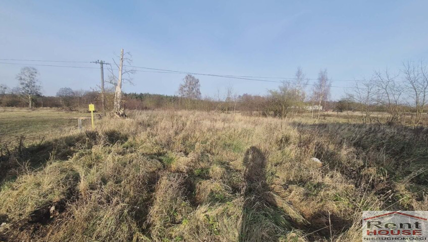 Działka Sprzedaż Tatynia