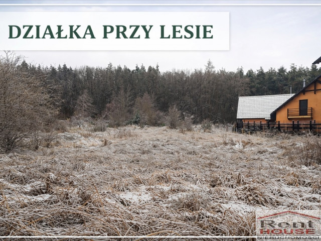 Działka Sprzedaż Pilchowo