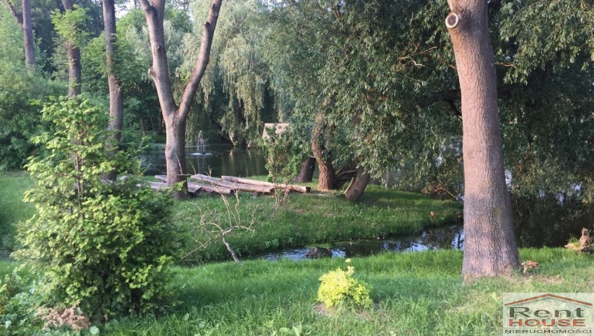 Mieszkanie Wynajem Skarbimierzyce