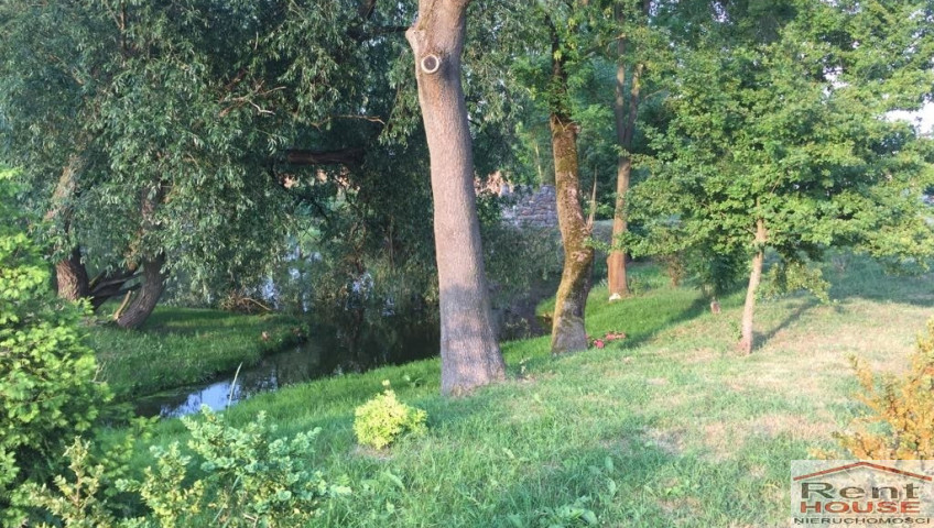 Mieszkanie Wynajem Skarbimierzyce