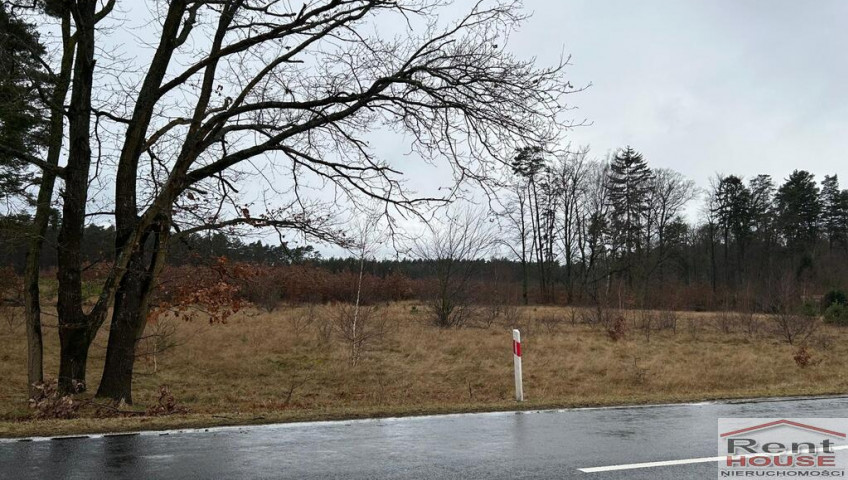 Działka Sprzedaż Brzózki