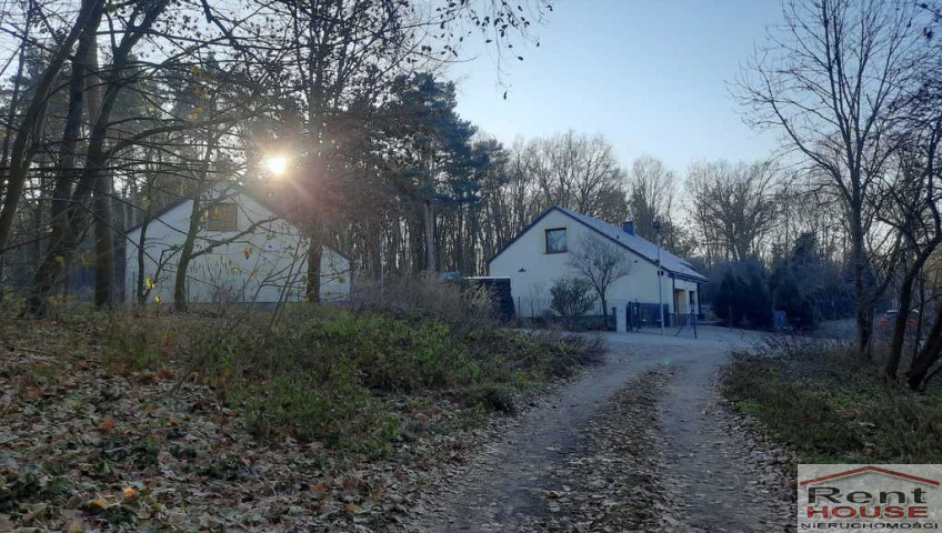 Działka Sprzedaż Czepino