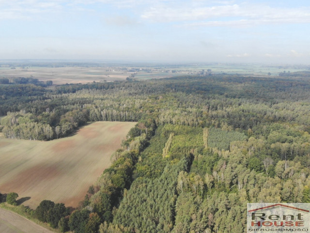 Działka Sprzedaż Rów