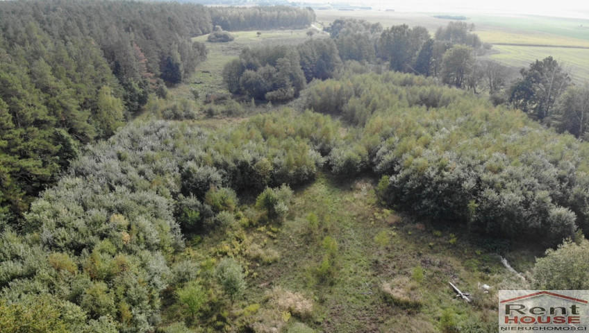 Działka Sprzedaż Rów