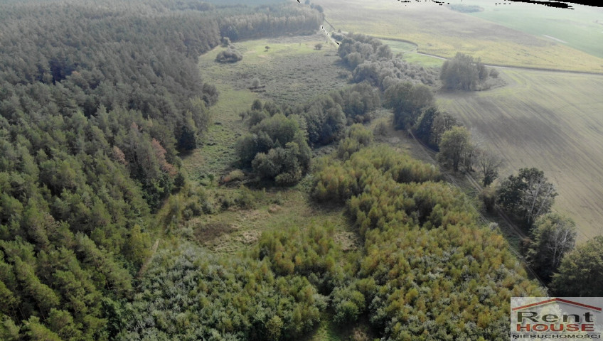 Działka Sprzedaż Rów