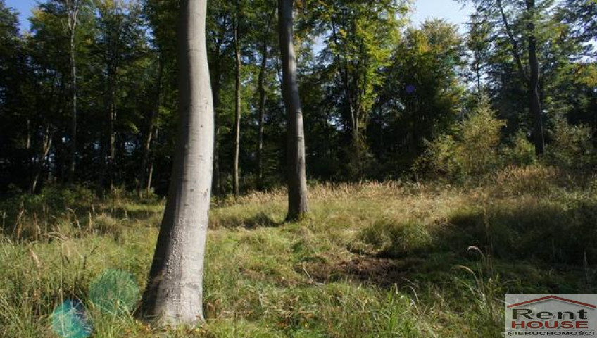 Działka Sprzedaż Dobra