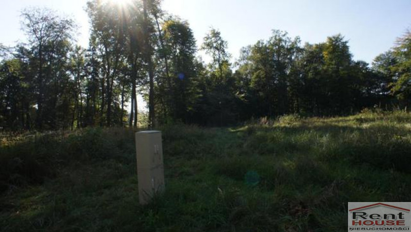 Działka Sprzedaż Dobra