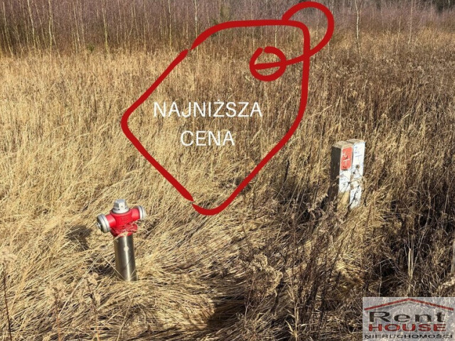 Działka Sprzedaż Żółwia Błoć