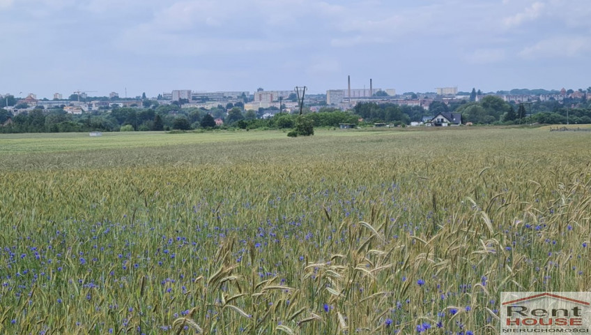 Działka Sprzedaż Stargard