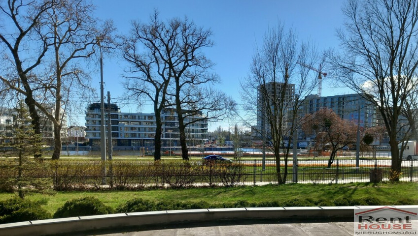 Lokal Wynajem Szczecin Śródmieście