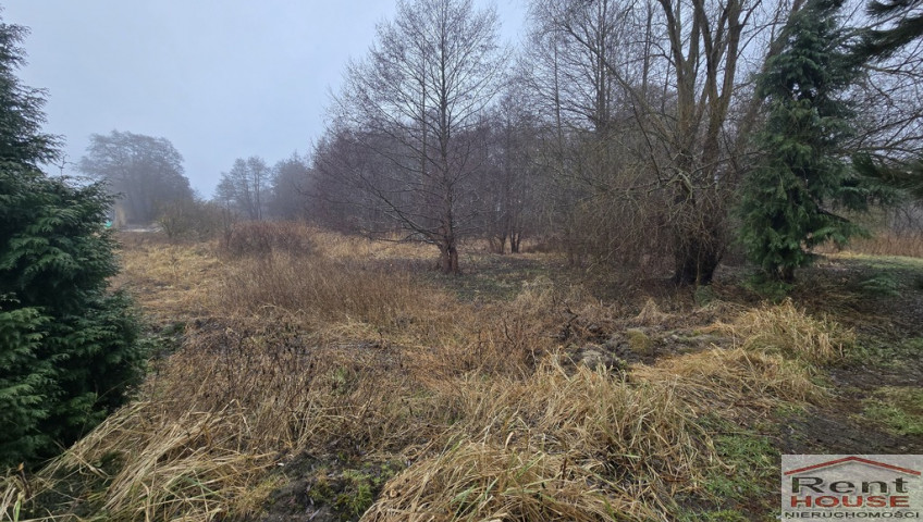 Działka Sprzedaż Trzebież