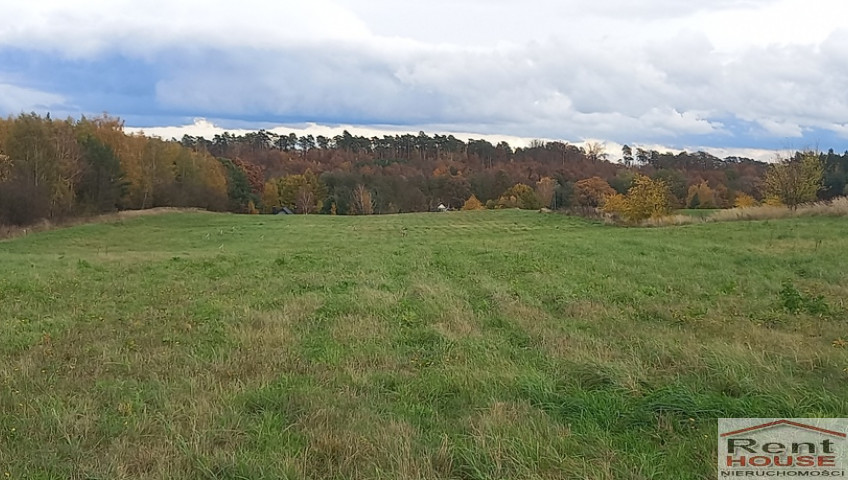 Działka Sprzedaż Steklno