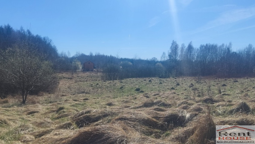 Działka Sprzedaż Linówko