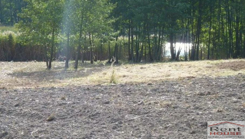 Działka Sprzedaż Zieleniewo