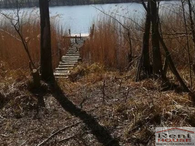 Działka Sprzedaż Kaszewo