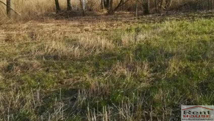 Działka Sprzedaż Kaszewo