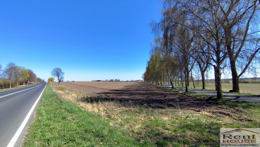 Działka Sprzedaż Wojcieszyn