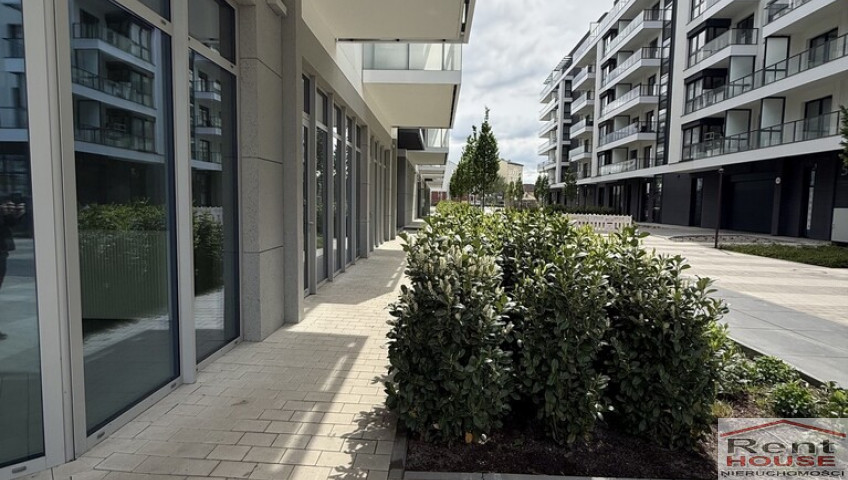 Lokal Wynajem Szczecin Łasztownia