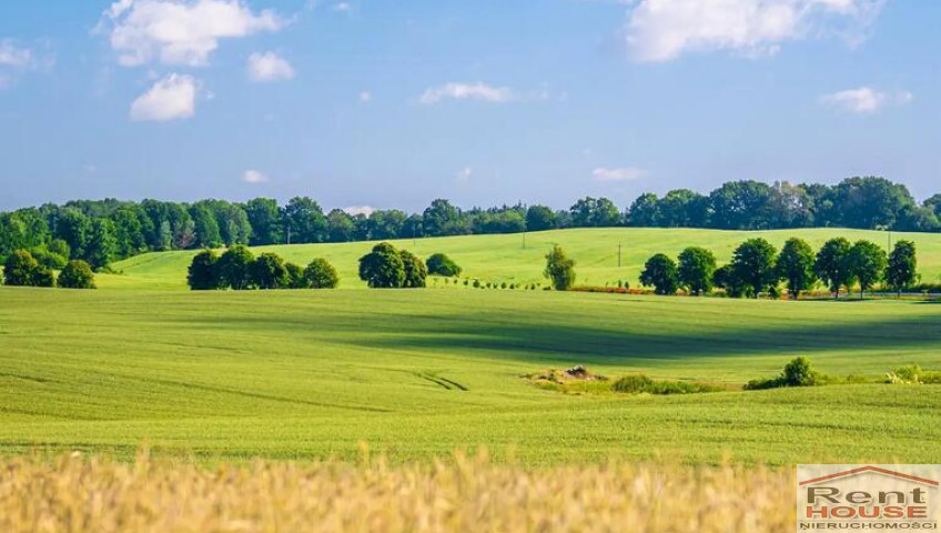 Działka Sprzedaż Przemocze