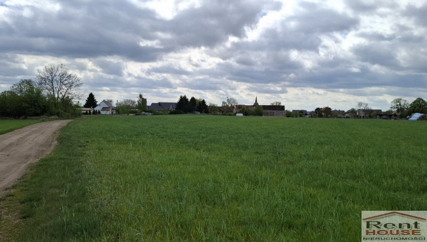 Działka Sprzedaż Bagna