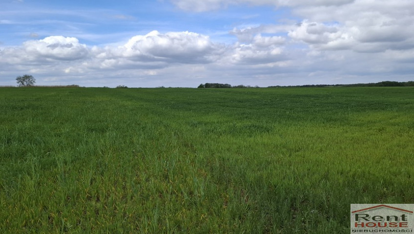 Działka Sprzedaż Bagna