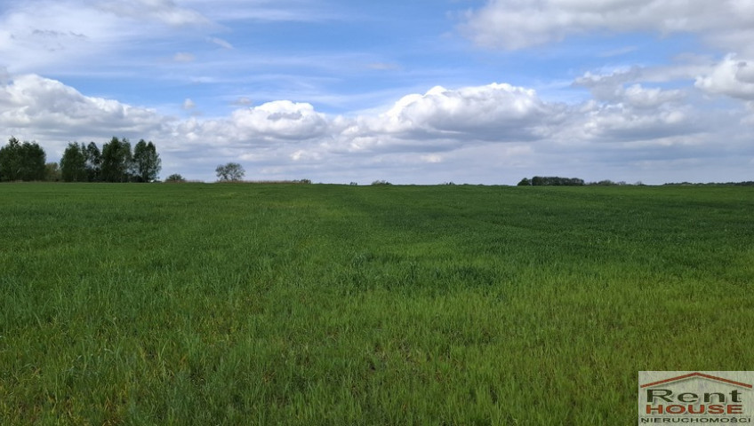 Działka Sprzedaż Bagna