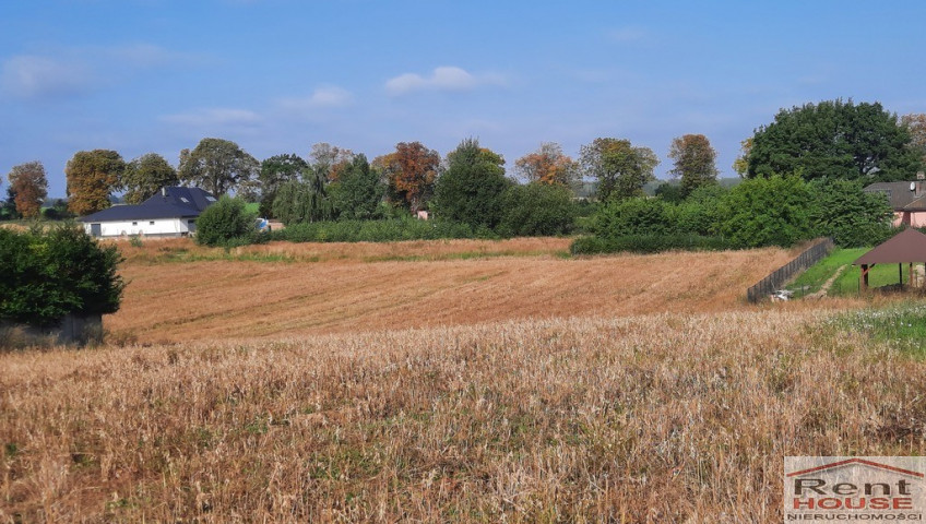 Działka Sprzedaż Kurów Na Klifie
