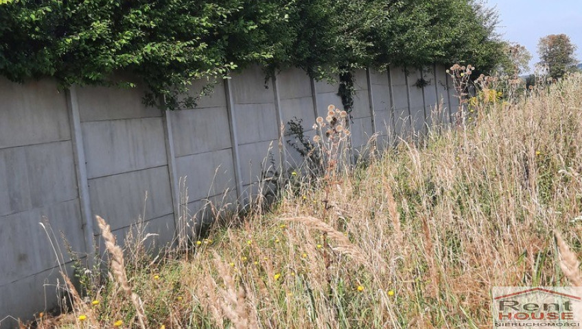 Działka Sprzedaż Kurów Na Klifie