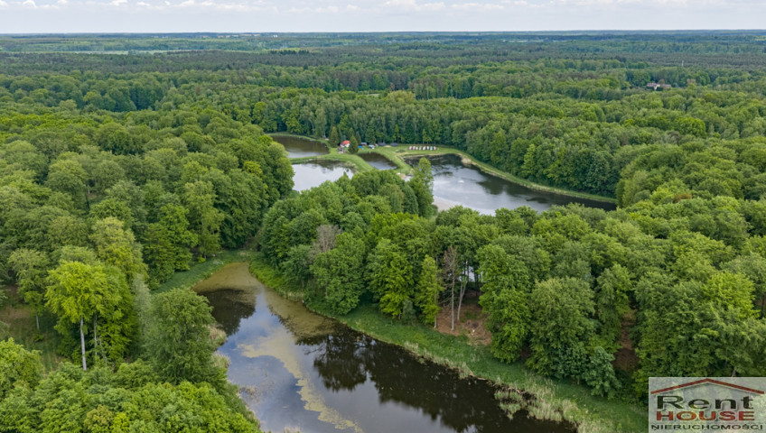 Działka Sprzedaż Wisławie