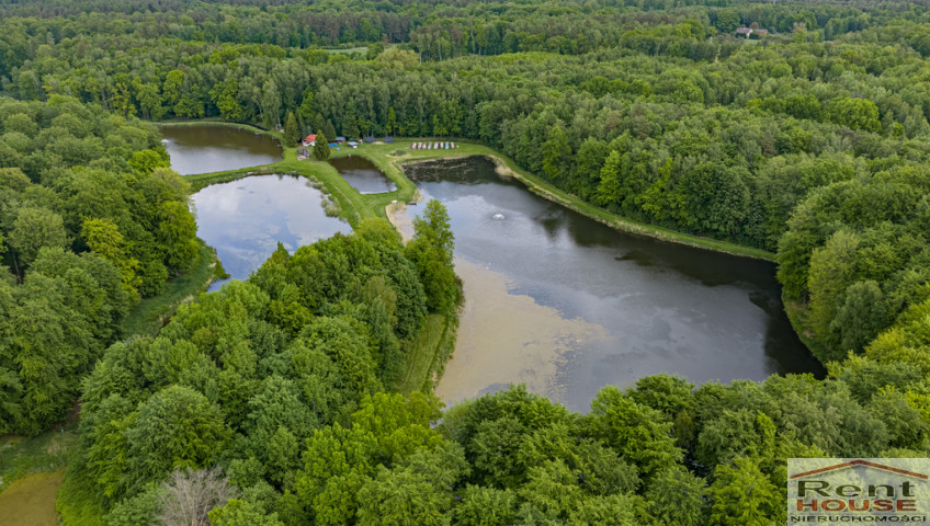 Działka Sprzedaż Wisławie