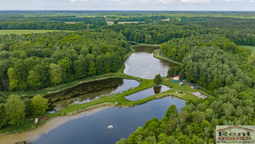 Działka Sprzedaż Wisławie