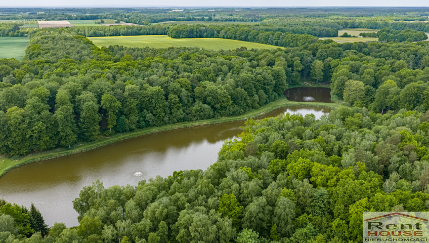 Działka Sprzedaż Wisławie