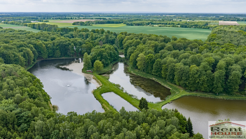Działka Sprzedaż Wisławie