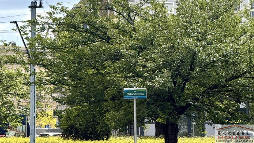 Mieszkanie Sprzedaż Szczecin Centrum Monte Cassino
