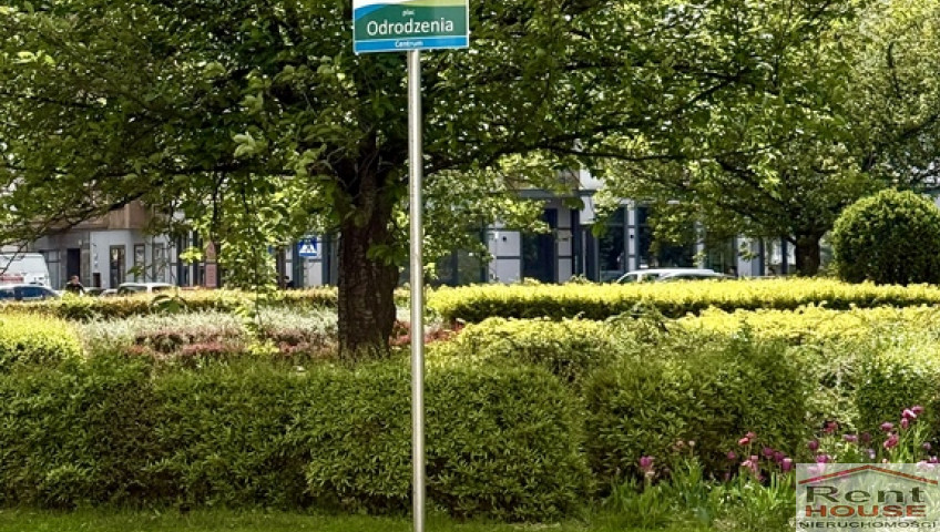 Mieszkanie Sprzedaż Szczecin Centrum Monte Cassino