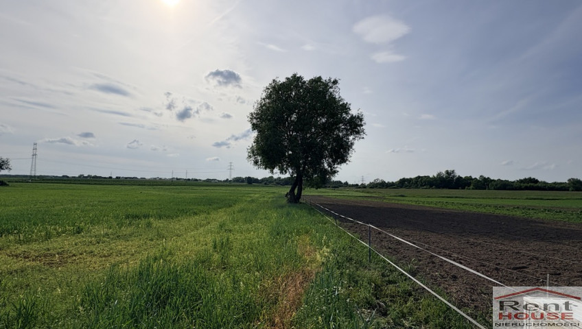 Działka Sprzedaż Przęsocin