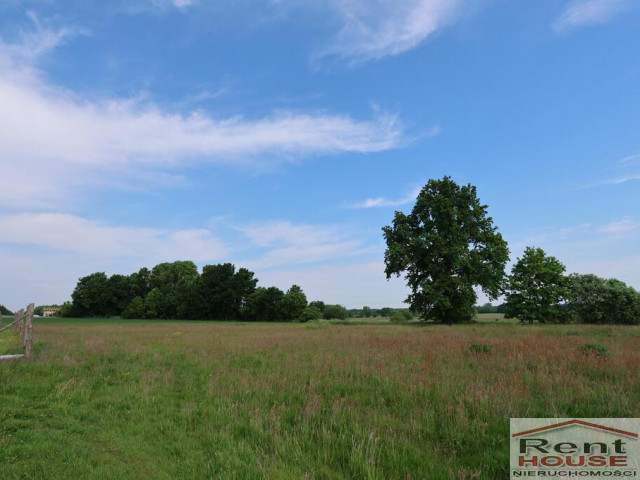 Działka Sprzedaż Kościuszki