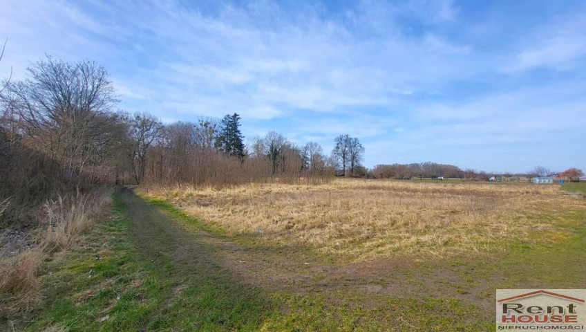 Działka Sprzedaż Koszewo